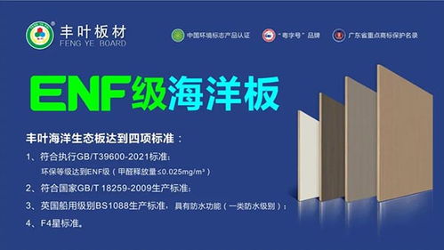 豐葉板材強勢登陸高鐵傳媒春節檔，開啟品牌推廣新篇章
