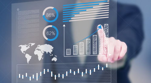 向前金服 背景介紹與信息技術(shù)咨詢服務(wù)分析