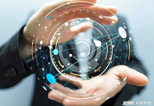 企業(yè)服務(wù)的選擇 信息技術(shù)咨詢的橫向拓展與縱向深耕